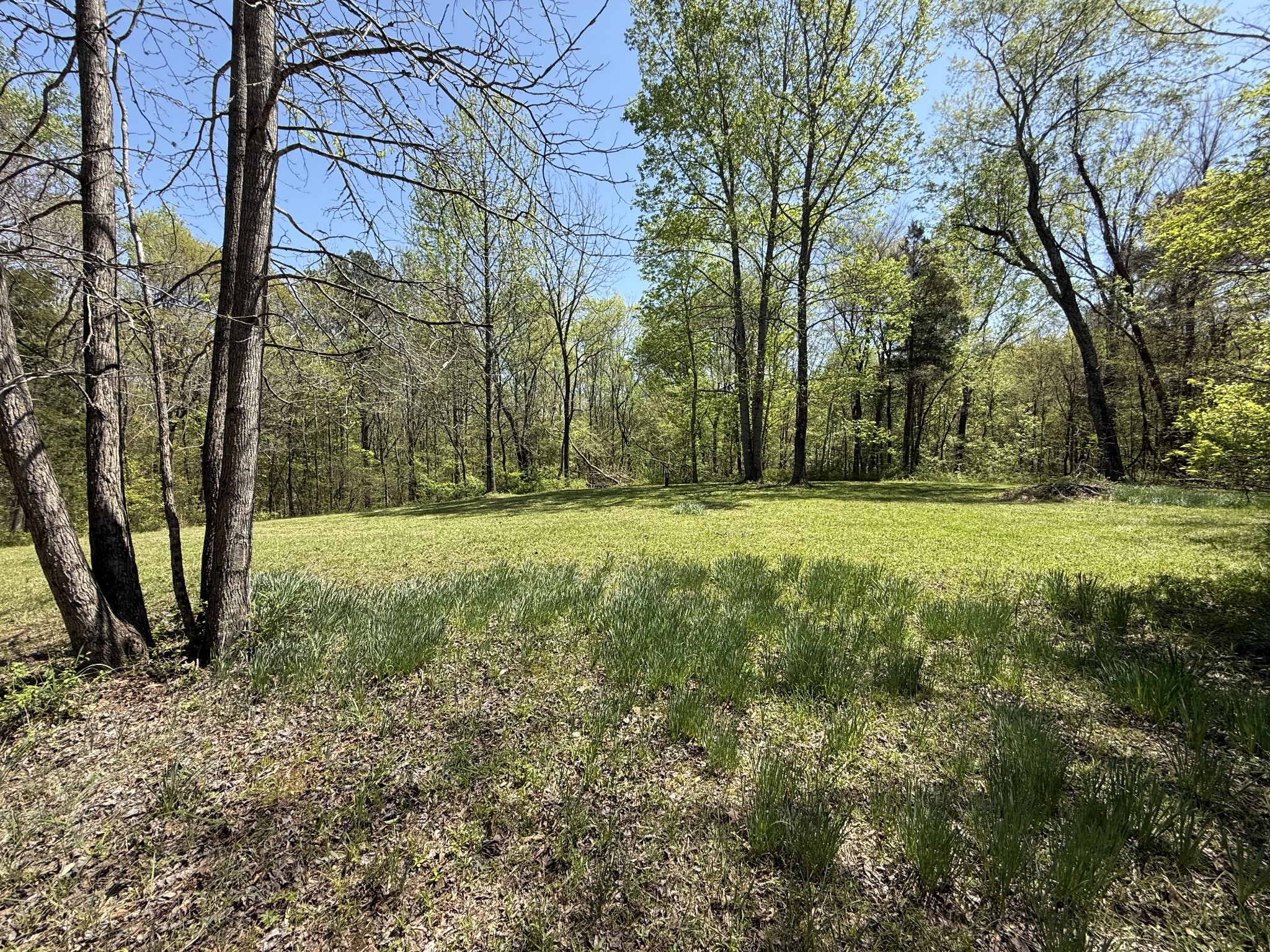 534 Whitney Branch Road Springville, TN 38256 - Photo 59 of 61 Gallery Image 59