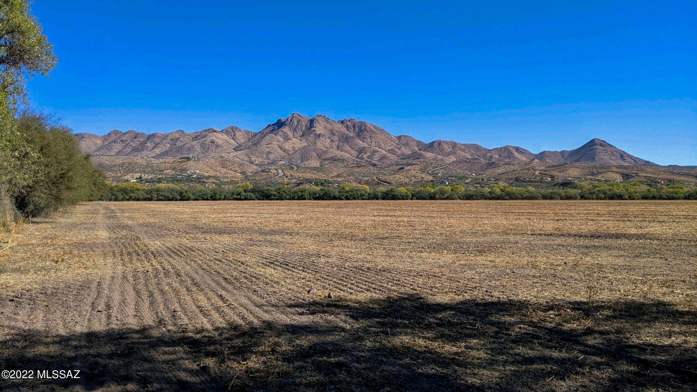 Dos Arbolitos Ranch Rio Rico, AZ 85648 - Photo 3 of 19