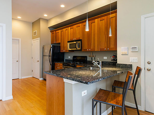 1806 West Rice Street, Unit 3N Chicago, IL 60622 - Photo 2 of 14