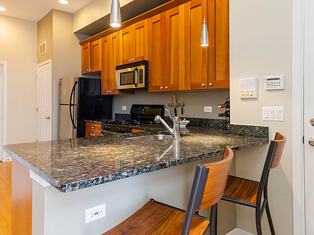 1806 West Rice Street, Unit 3N Chicago, IL 60622 - Photo 7 of 14