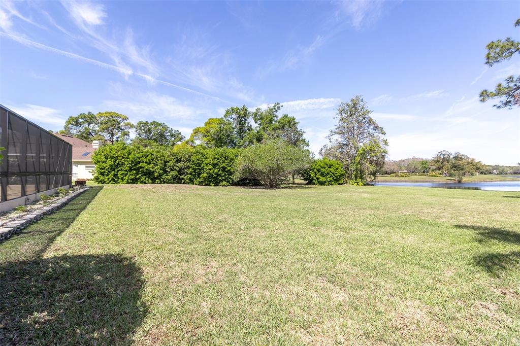 4404 Lake In The Woods Drive Spring Hill, FL 34607 - Photo 50 of 55