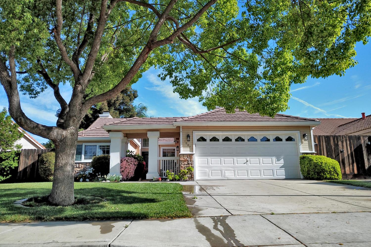 1007 Lourence Drive Tracy, CA 95376 - Photo 3 of 48