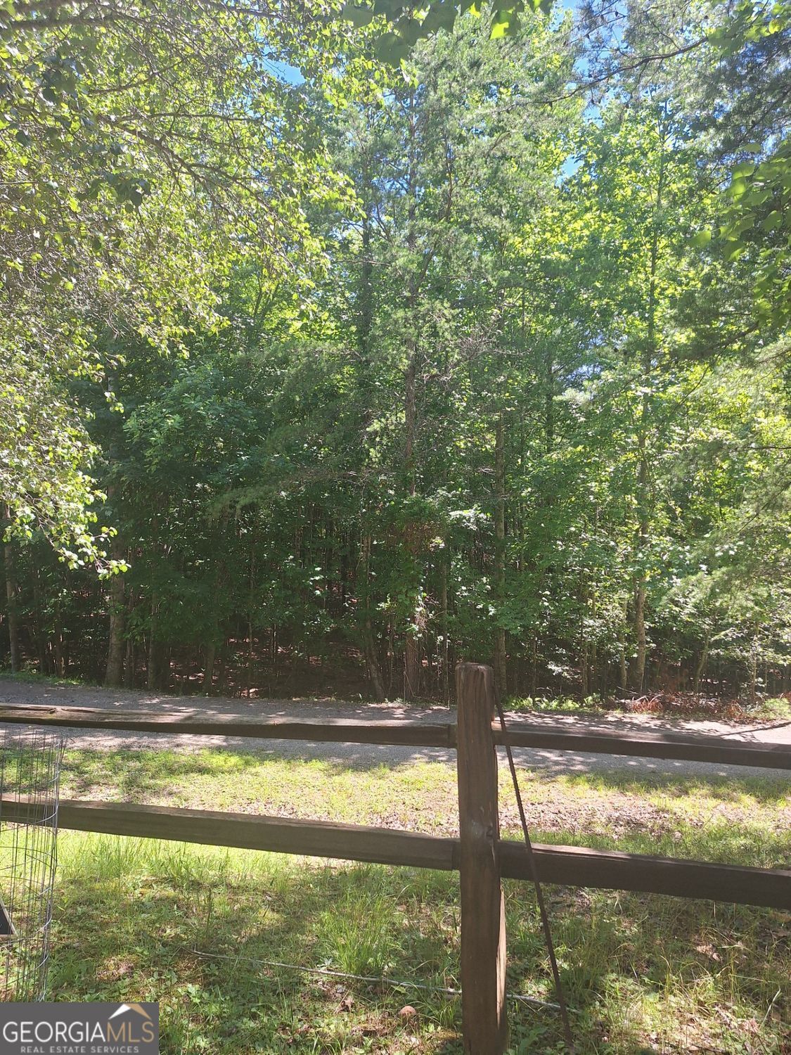0 Judah Road Morganton, GA 30560 - Photo 6 of 8