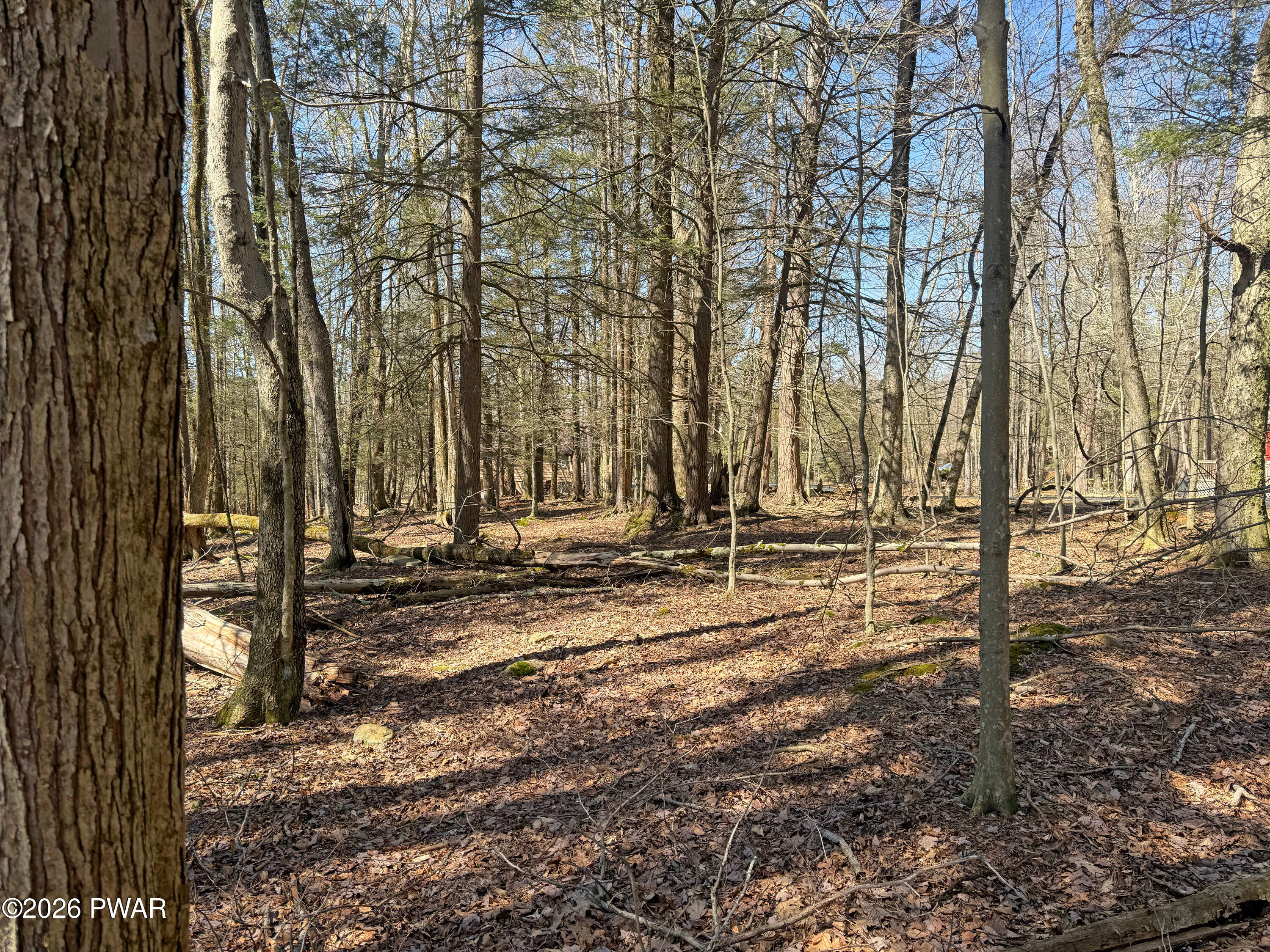 924-927 Hibernation Road Lake Ariel, PA 18436 - Photo 9 of 31