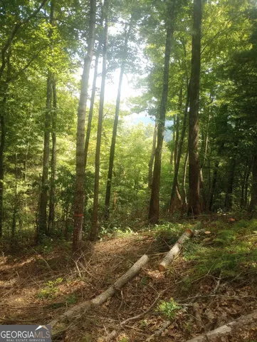 a view of outdoor space and trees