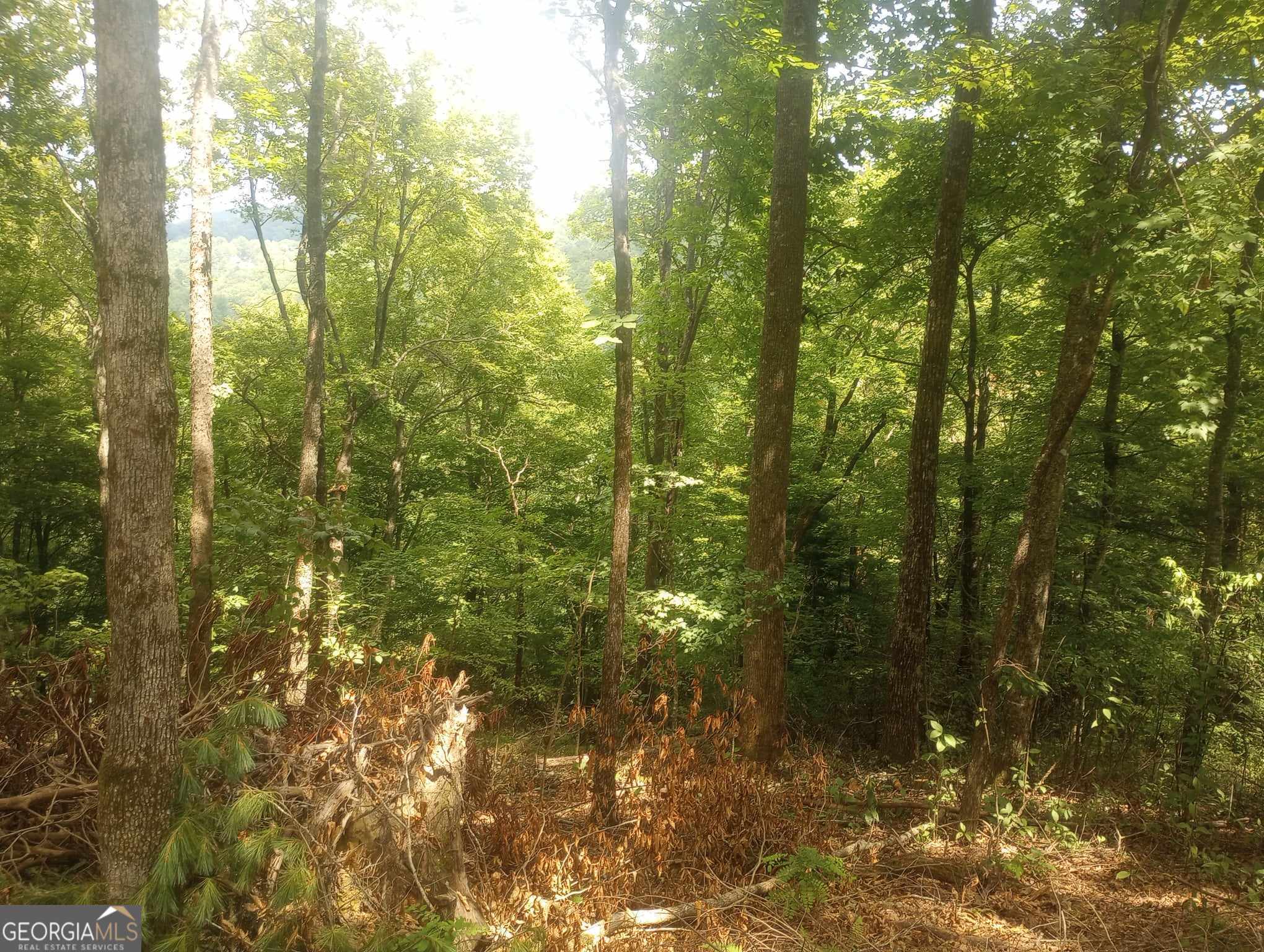 0 Ridgepole/covered Bridge, Unit LOT 150 Sky Valley, GA 30537 - Photo 4 of 9 a view of a forest