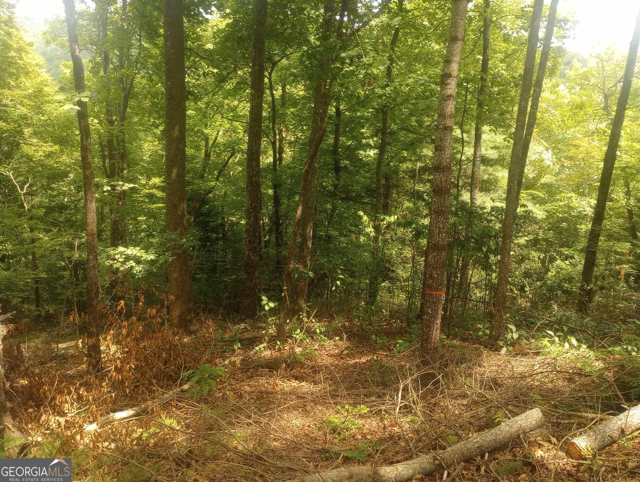 0 Ridgepole/covered Bridge, Unit LOT 150 Sky Valley, GA 30537 - Photo 7 of 9 a view of a yard