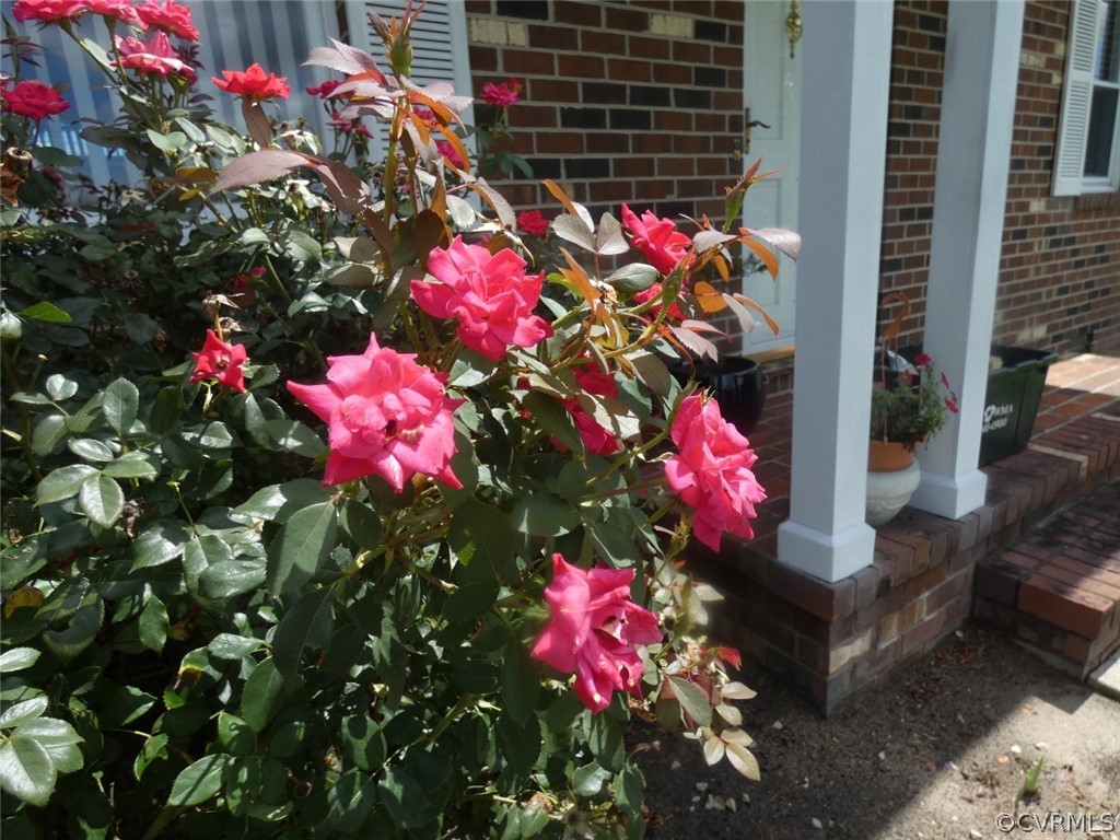 8616 River Road Petersburg, VA 23803 - Photo 11 of 32 Gallery Image 11