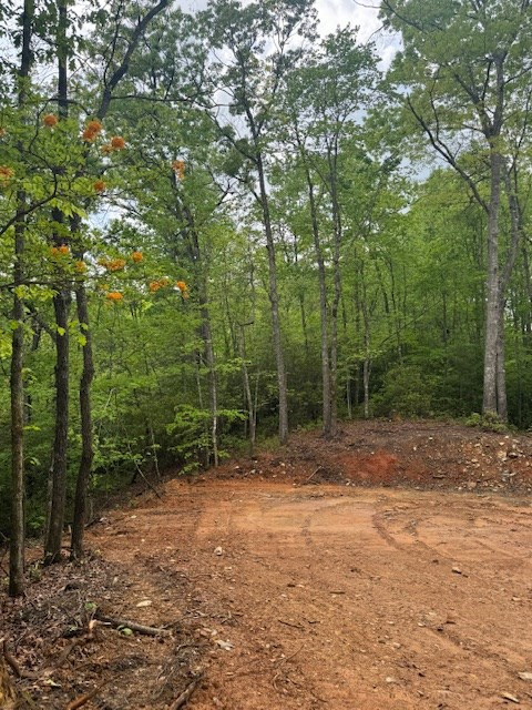 0 Tyler Lane Marble, NC 28905 - Photo 23 of 31