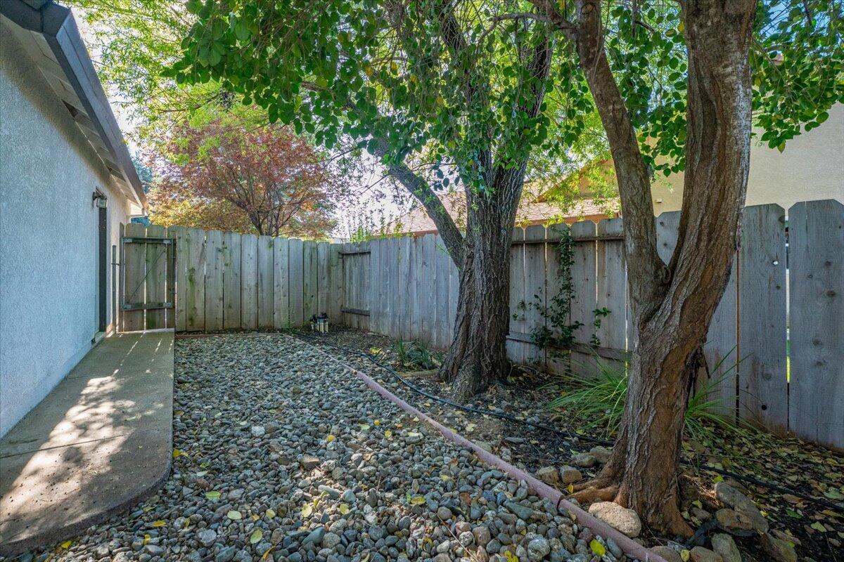 1119 River Ridge Drive Redding, CA 96003 - Photo 46 of 57 Side Yard