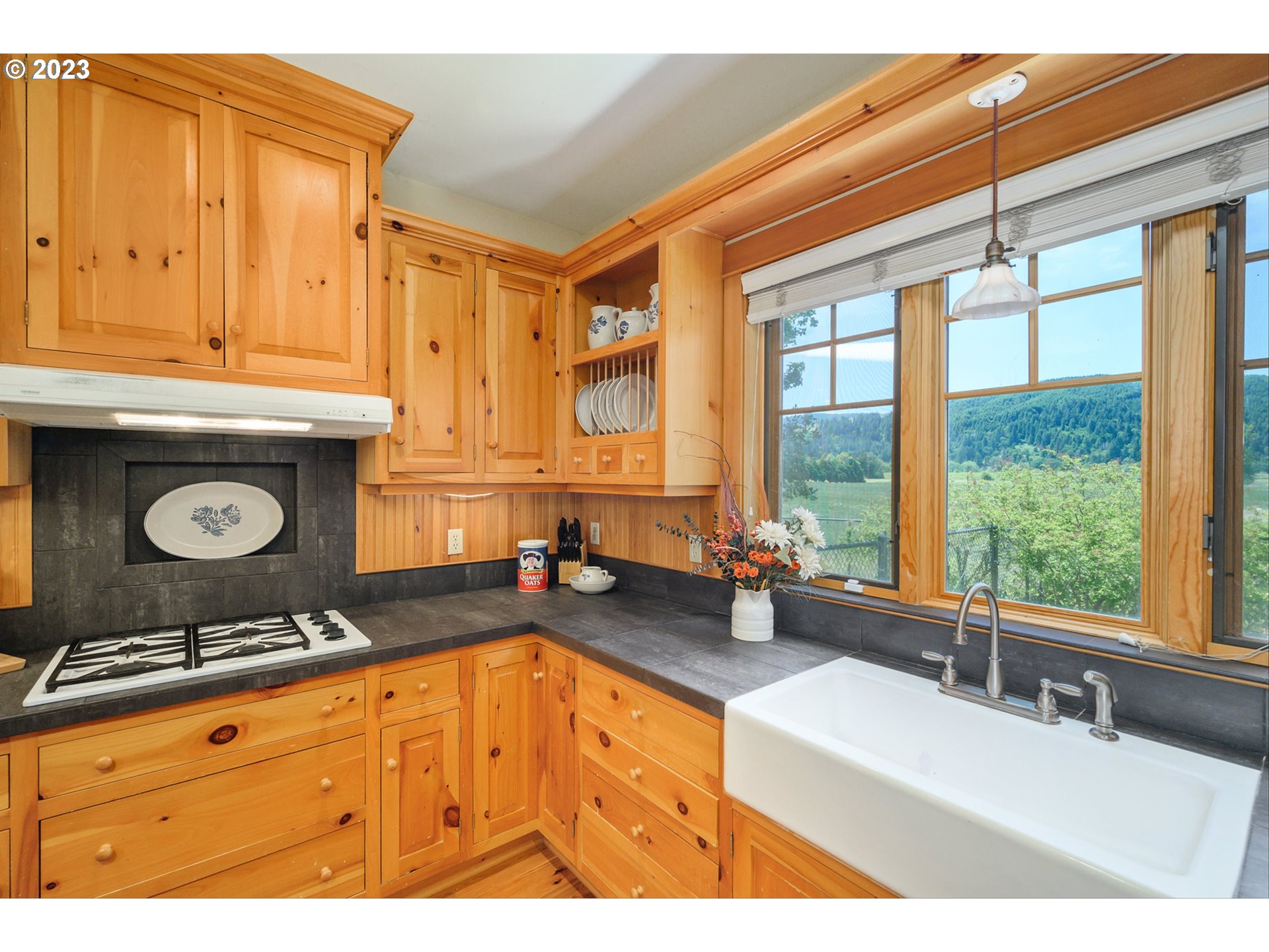 17500 Northwest Lucy Reeder Road Portland, OR 97231 - Photo 13 of 48 Kitchen