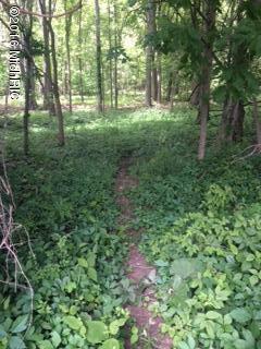 0 Blosser Road Bronson, MI 49028 - Photo 2 of 8 IMG_2080