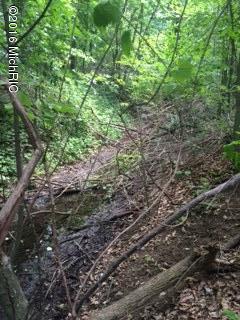 0 Blosser Road Bronson, MI 49028 - Photo 4 of 8 IMG_2087