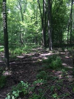 0 Blosser Road Bronson, MI 49028 - Photo 6 of 8 IMG_2085