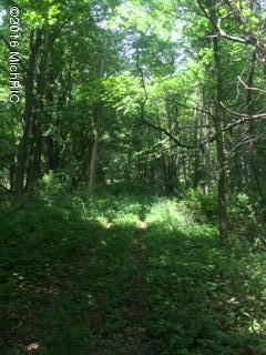 0 Blosser Road Bronson, MI 49028 - Photo 7 of 8 IMG_2093