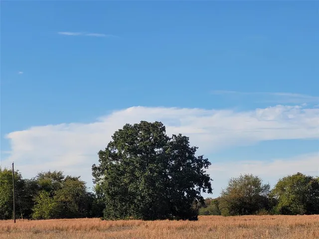 a view of a dry yard