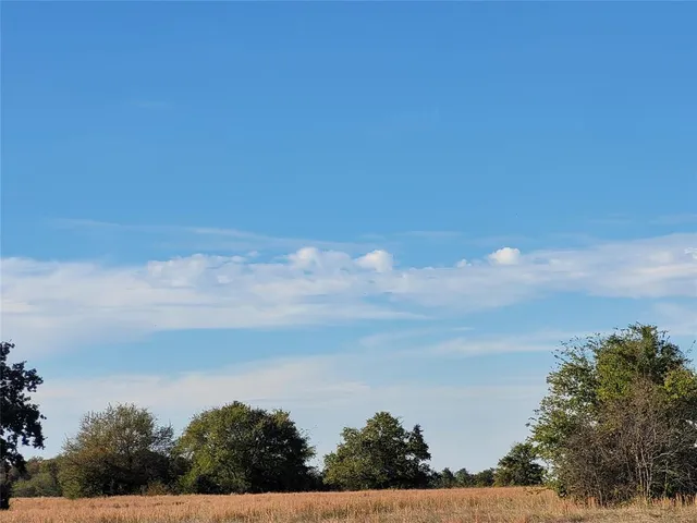 a view of outdoor space yard with large trees