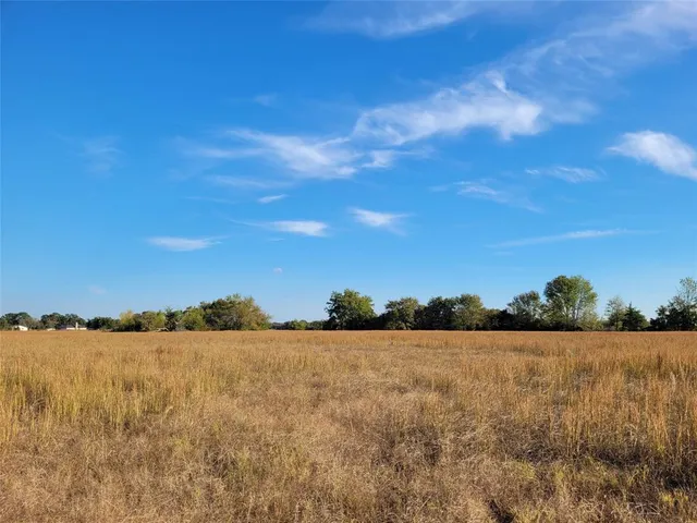 a view of a dry yard with a tree