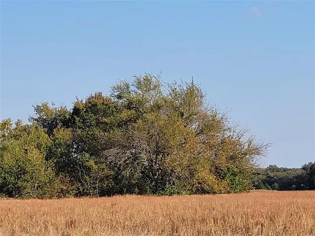 a view of a covered with snow in front of house
