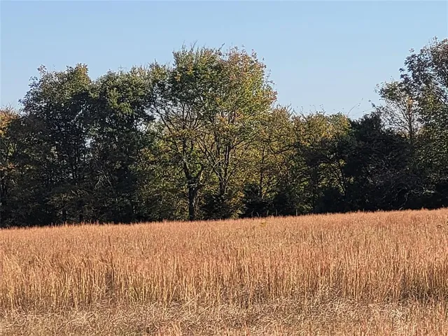 a view of a covered with snow in the background