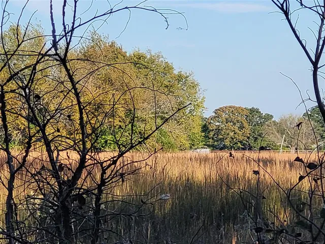 a view of a field with an ocean