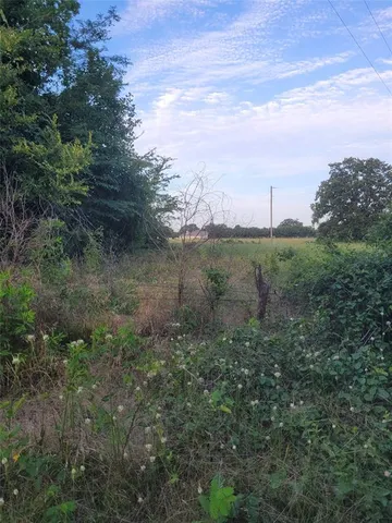 a view of a big yard with lots of green space and mountain view in back
