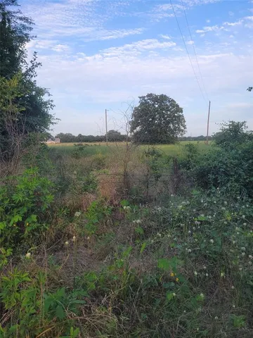 a view of a dirt road with trees in the background