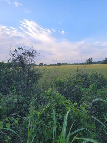 a view of a city and a lots of trees