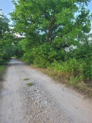 a view of a pathway with a yard
