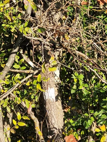 $70,000 | 1304 Deport Tx 75435, Detroit, TX 75436