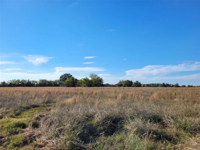 a view of a field with trees in background