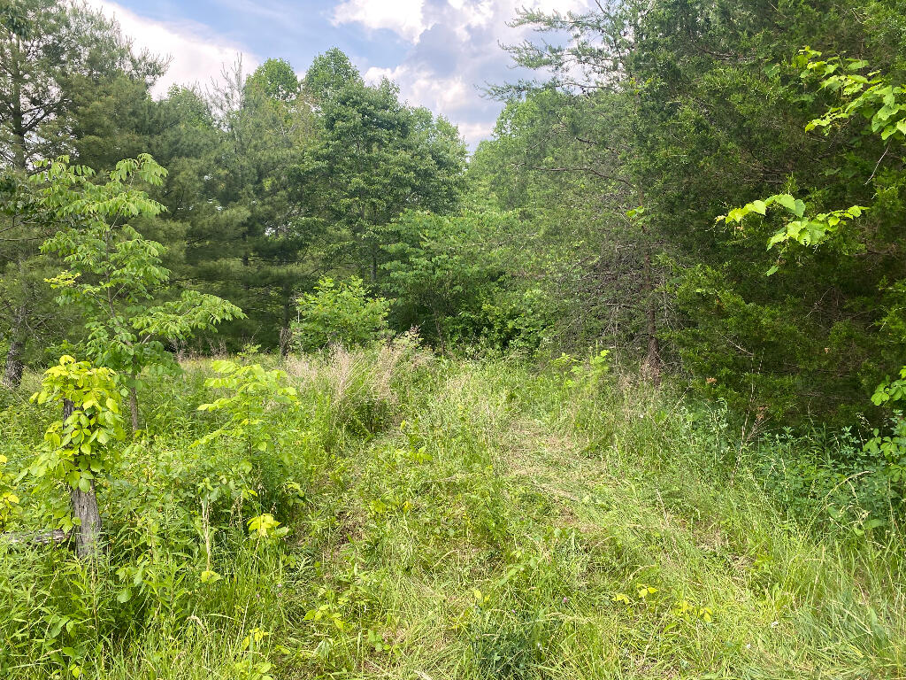 Tbd Goddard Road Wallingford, KY 41093 - Photo 6 of 24 05