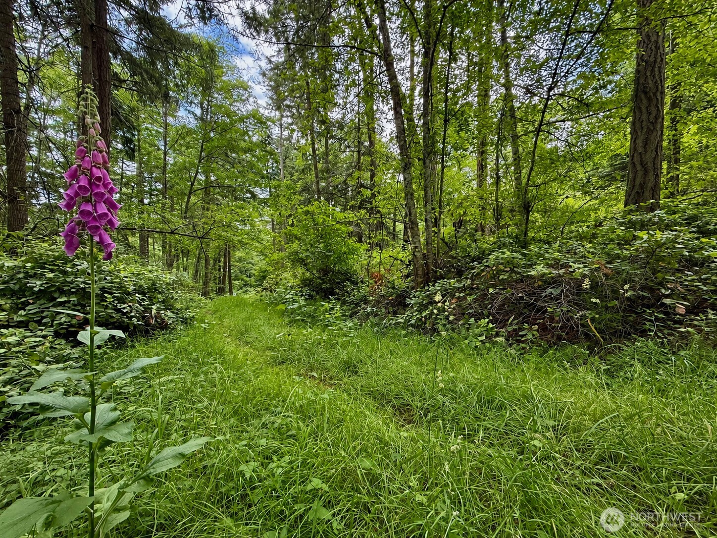 0 Lots 7-8 Newton Beach Road Shaw Island, WA 98286 - Photo 29 of 33