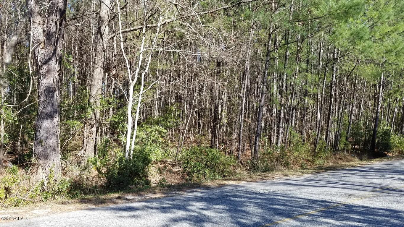 1-acre Deloss Point Road Ridgeland, SC 29936 - Photo 3 of 12 20170217_144014 (1) (Medium)
