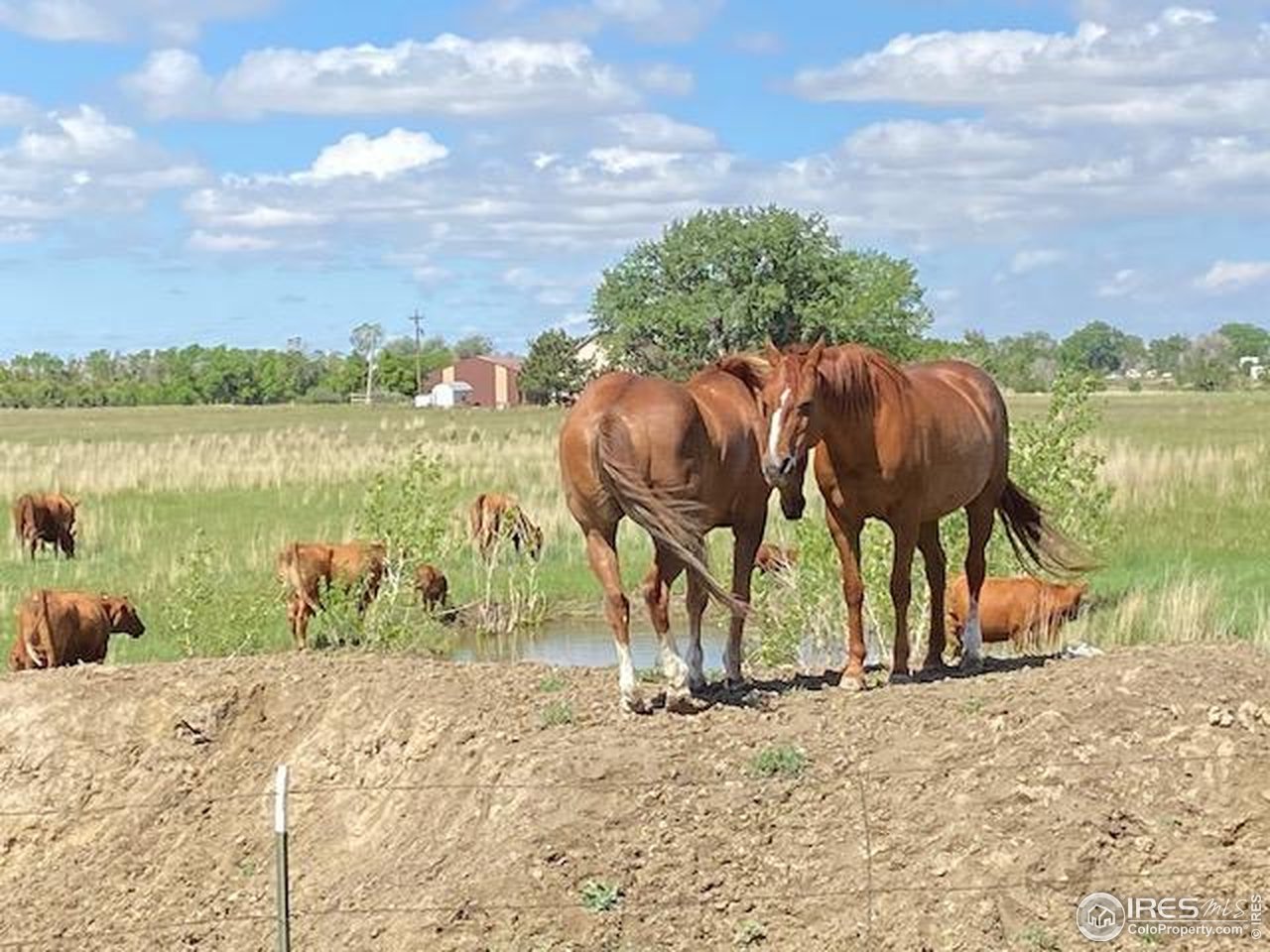 28840 County Road R Brush, CO 80723 - Photo 44 of 49