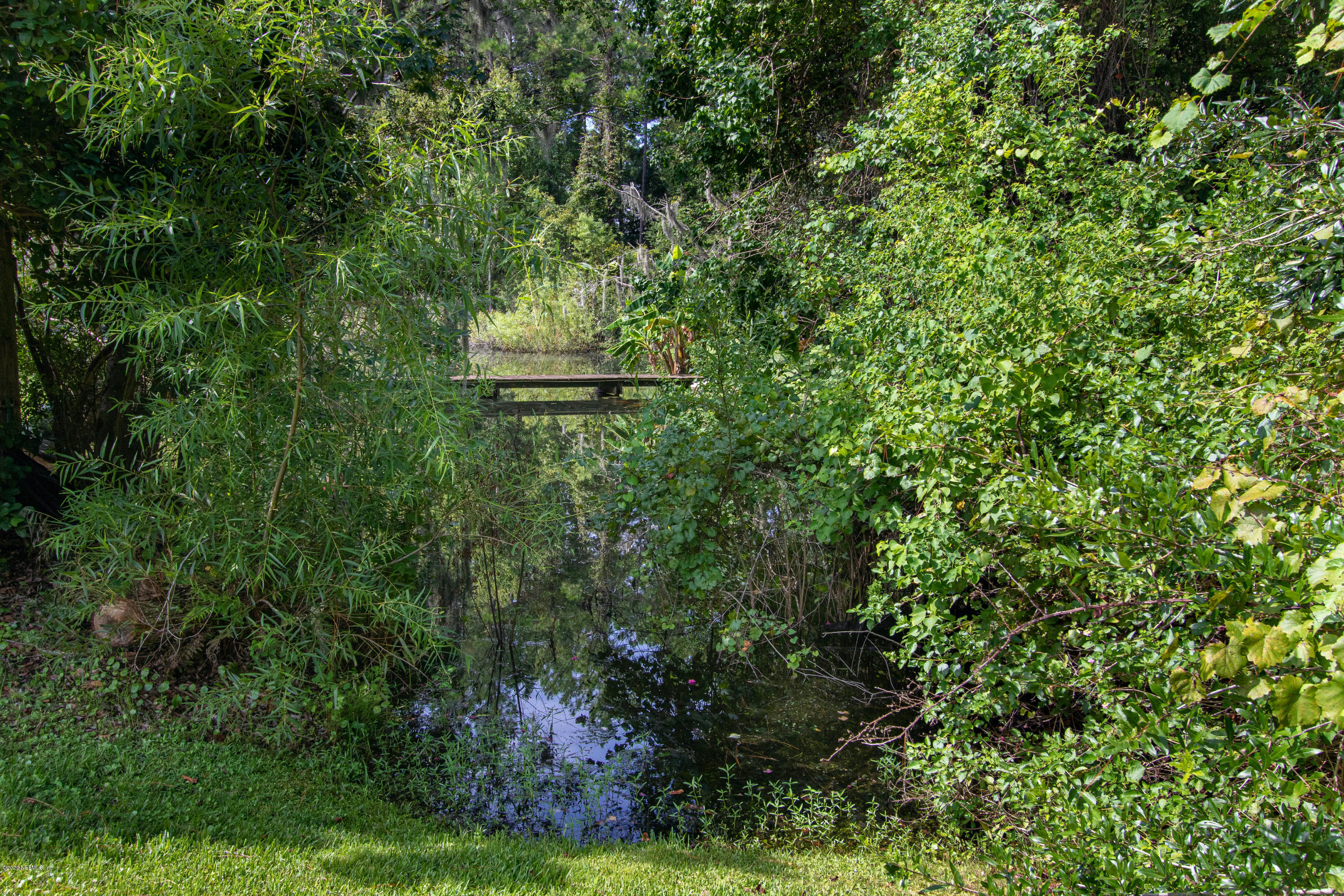 1214 Raleigh Ridge Drive Jacksonville, FL 32225 - Photo 25 of 25 a view of a tree in a yard