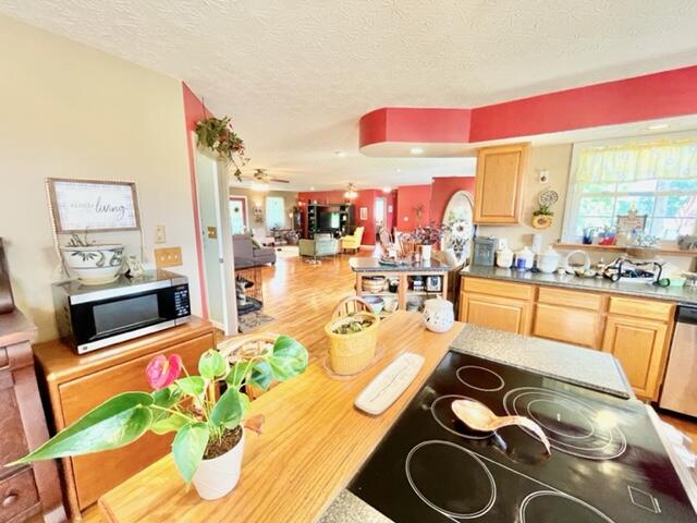 4568 Vaught Ridge Road Bethelridge, KY 42516 - Photo 12 of 34 IMG_5563