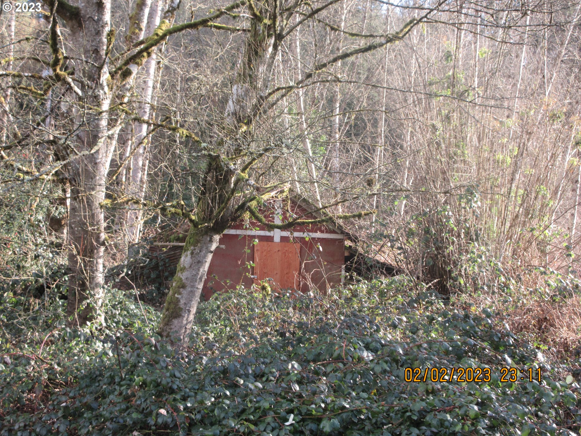15030 Northwest Cornelius Pass Road Portland, OR 97231 - Photo 14 of 16 a view of a yard with large trees