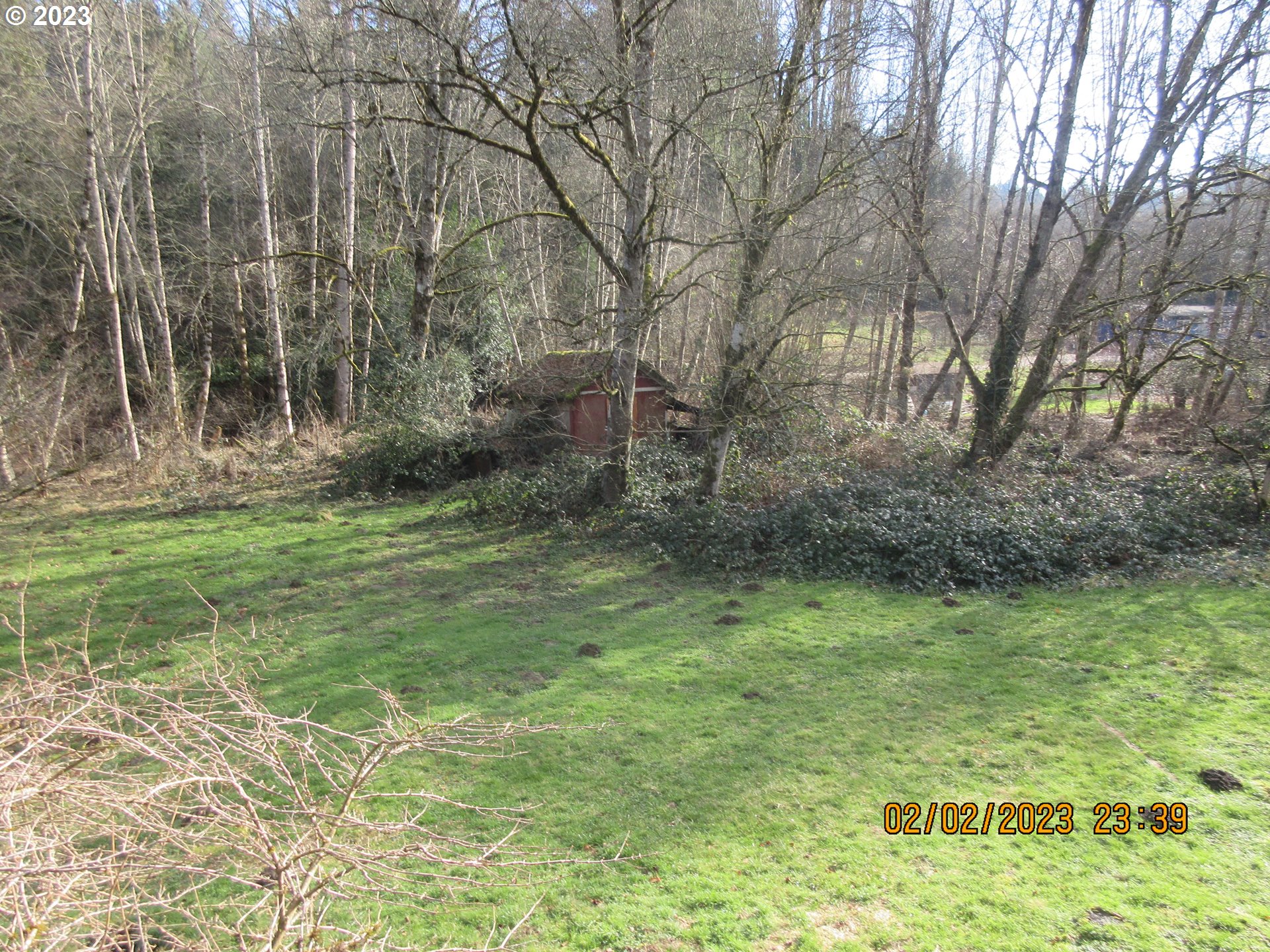 15030 Northwest Cornelius Pass Road Portland, OR 97231 - Photo 15 of 16 a view of a yard with trees