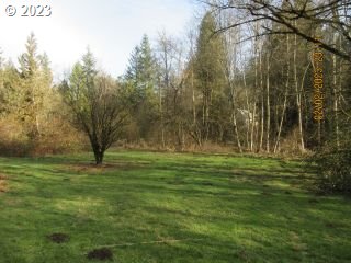 15030 Northwest Cornelius Pass Road Portland, OR 97231 - Photo 16 of 16 a big yard with lots of green space and trees