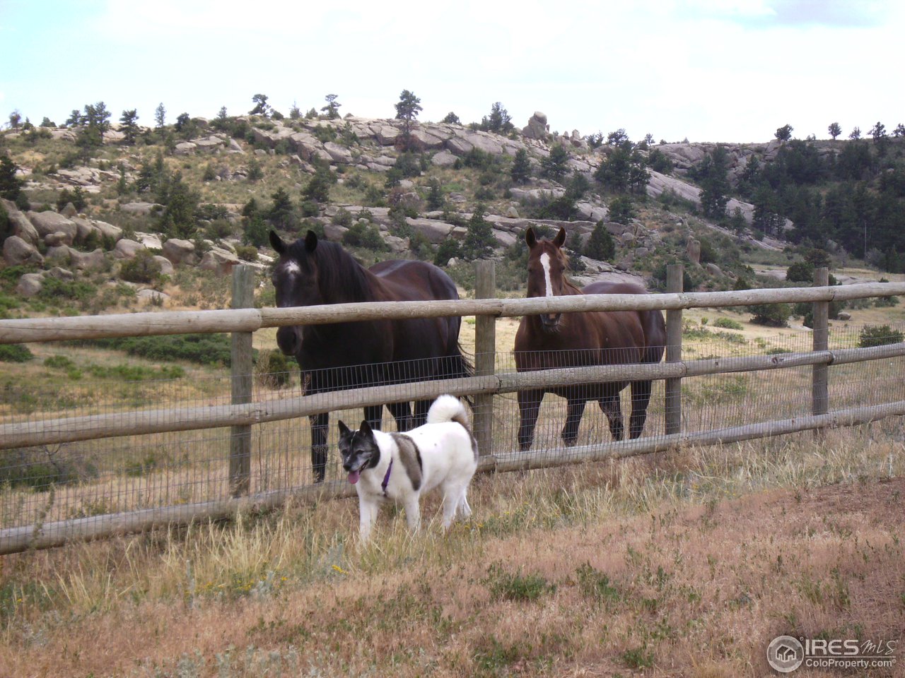 800 Pinon Ridge Road Laporte, CO 80535 - Photo 19 of 25 Gallery Image 19