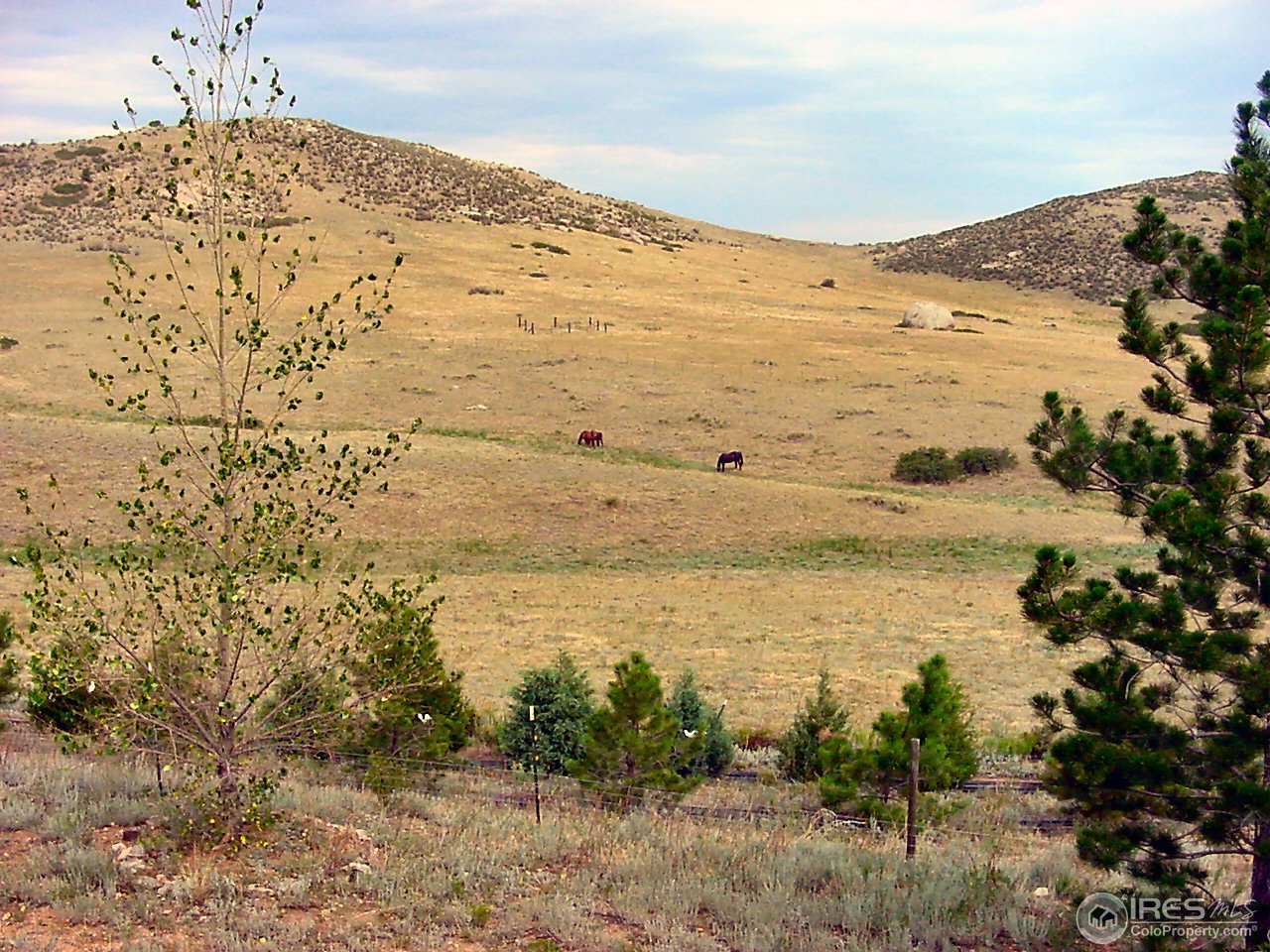 800 Pinon Ridge Road Laporte, CO 80535 - Photo 20 of 25 Gallery Image 20