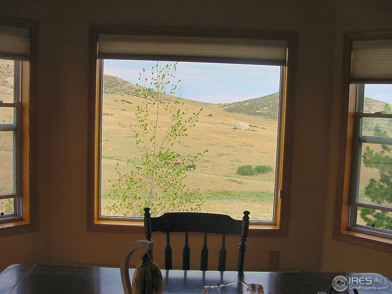 800 Pinon Ridge Road Laporte, CO 80535 - Photo 8 of 25 Gallery Image 8