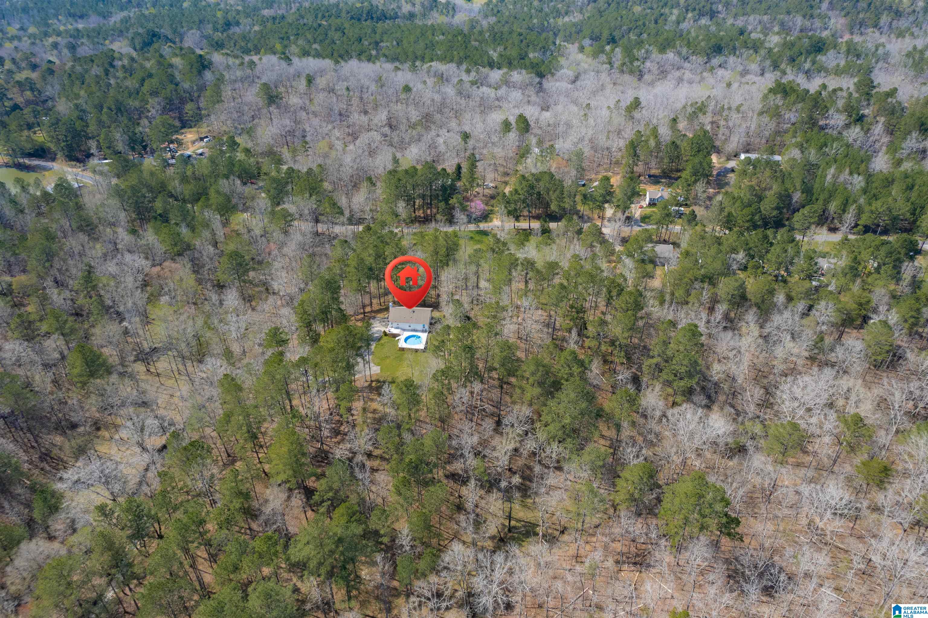 184 Sequoyah Road Pell City, AL 35128 - Photo 36 of 46