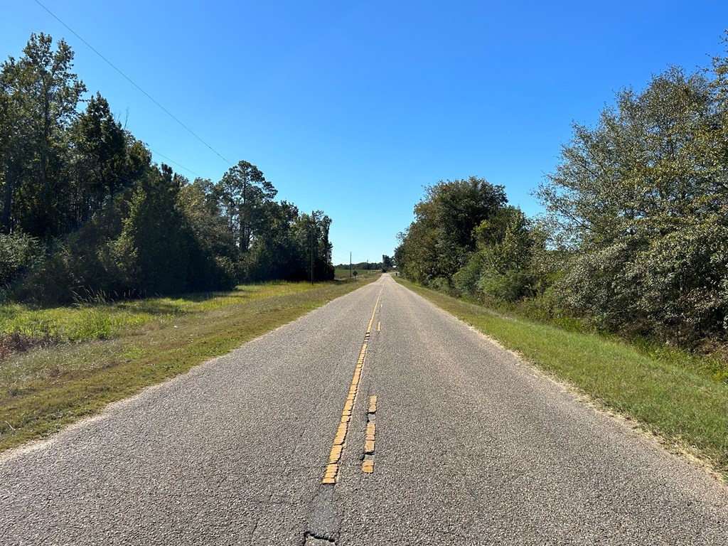 5-ac 5-ac Road Cottonwood, AL 36320 - Photo 11 of 23