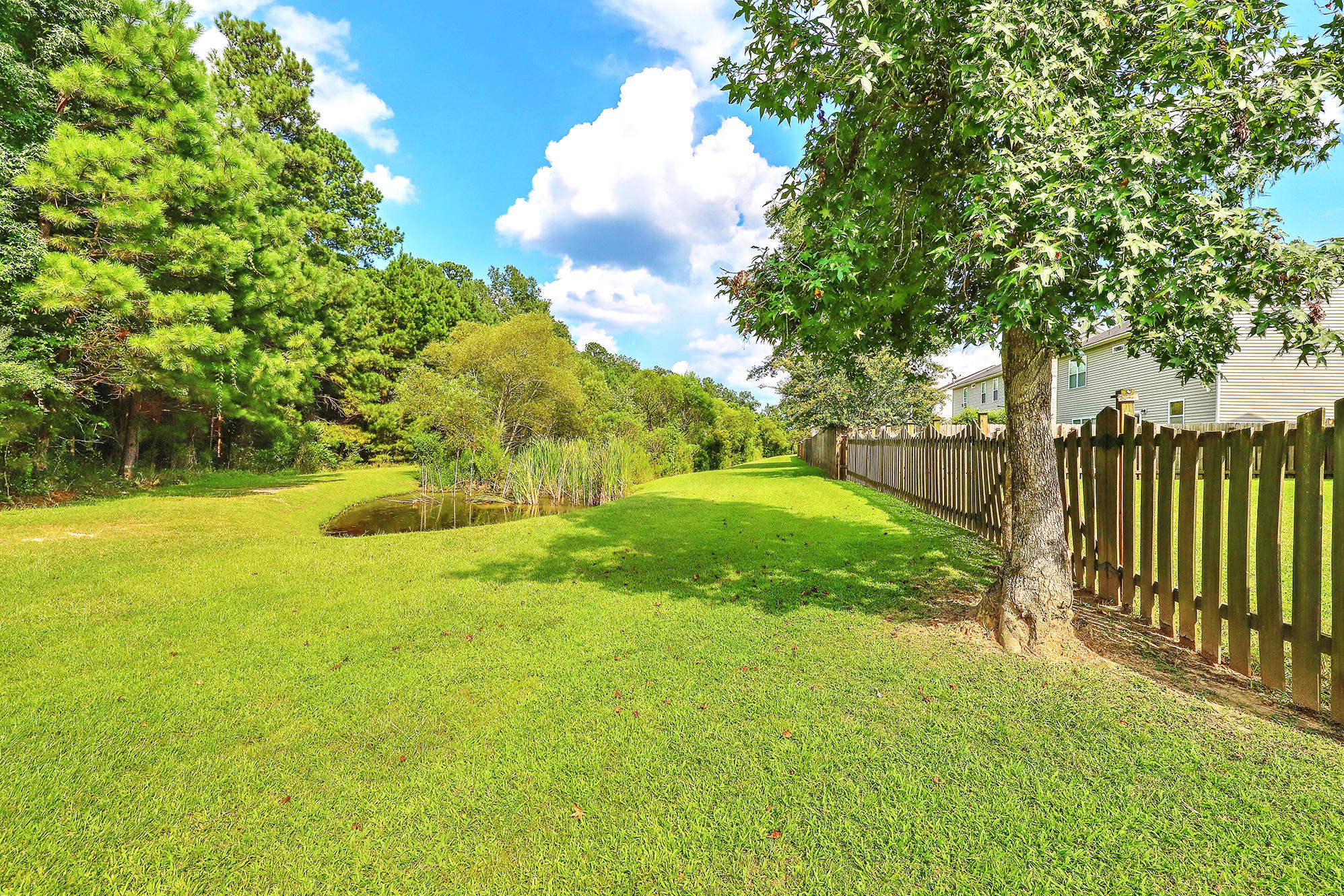 223 Meadow Wood Road Summerville, SC 29486 - Photo 37 of 39 IMG_5864_5_6