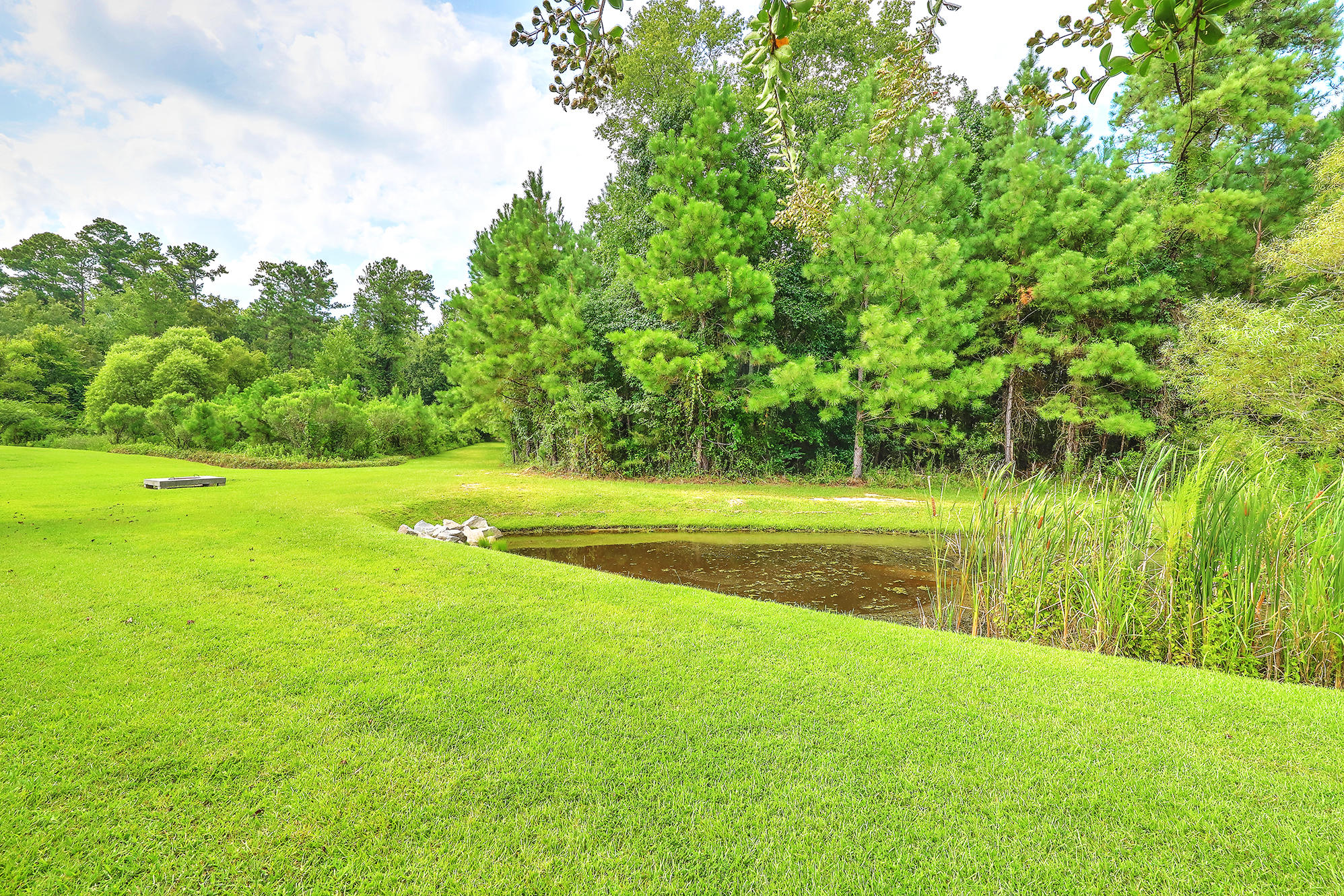 223 Meadow Wood Road Summerville, SC 29486 - Photo 38 of 39 IMG_5867_8_9