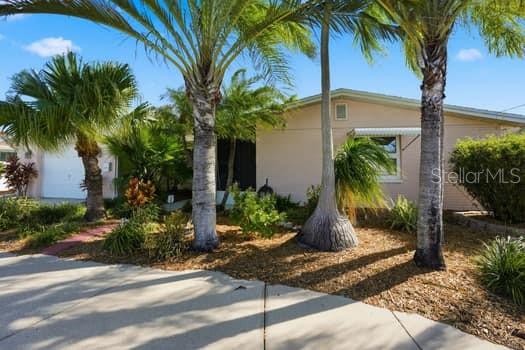 12612 4th Isle Hudson, FL 34667 - Photo 6 of 50 a view of a garden with palm trees