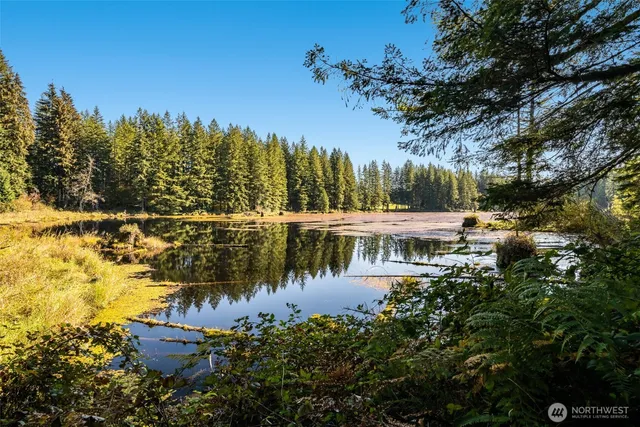 a view of a swimming pool with a yard and mountain view