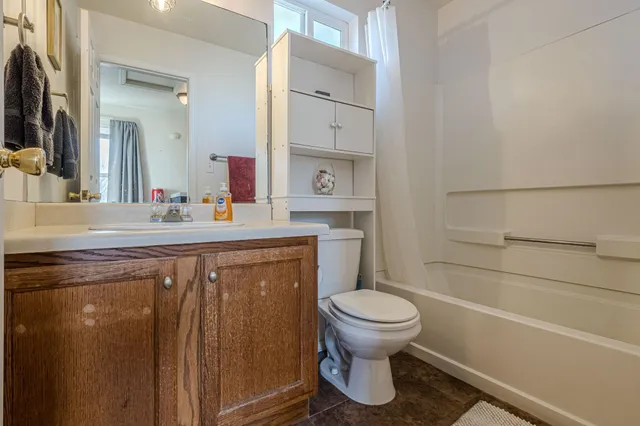 a bathroom with a sink toilet vanity and shower